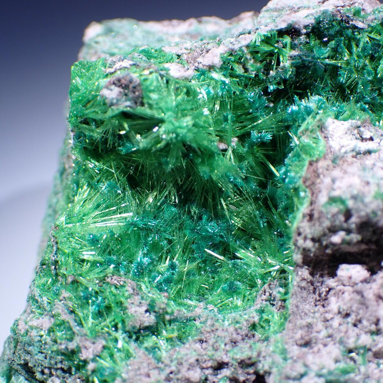 Cuprosklodowskite & Malachite