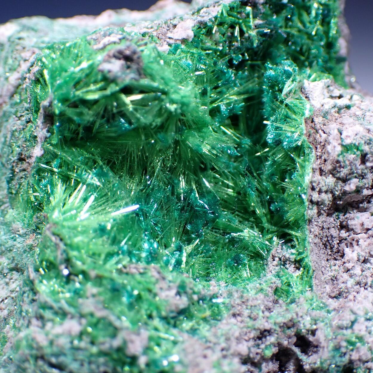 Cuprosklodowskite & Malachite