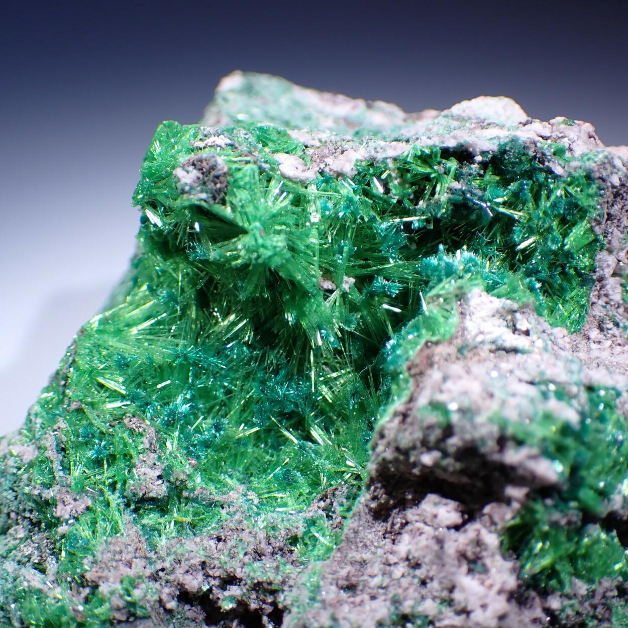 Cuprosklodowskite & Malachite