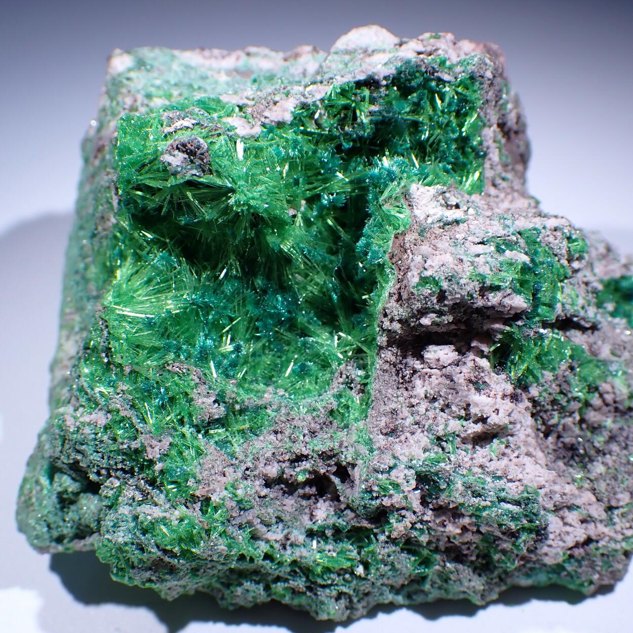Cuprosklodowskite & Malachite
