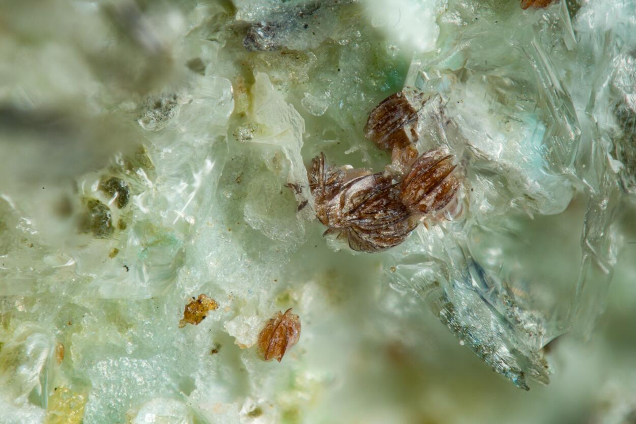 Retzian-(Nd) Sarkinite & Digenite