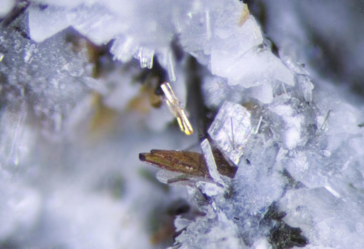 Labuntsovite & Astrophyllite