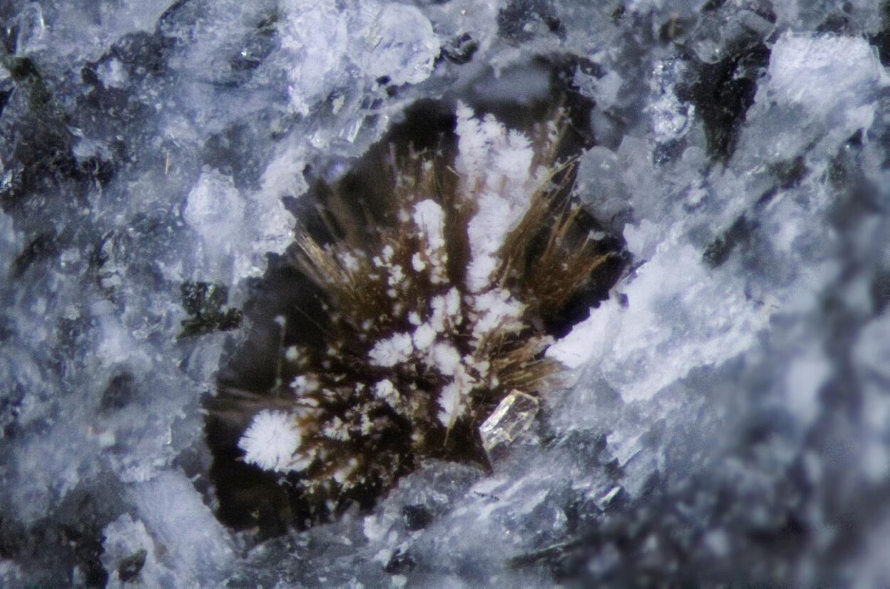 Fluorite & Tuperssuatsiaite