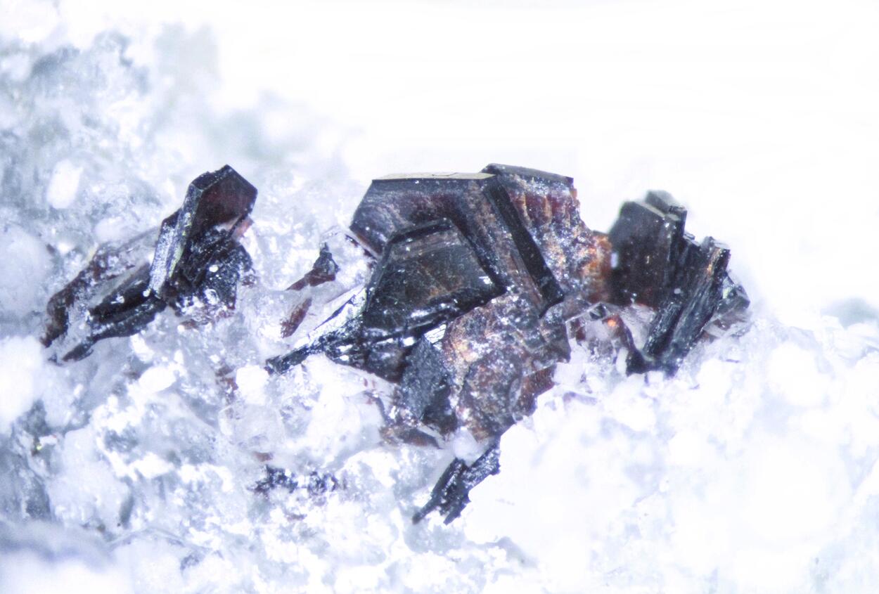 Pyrophanite & Pectolite