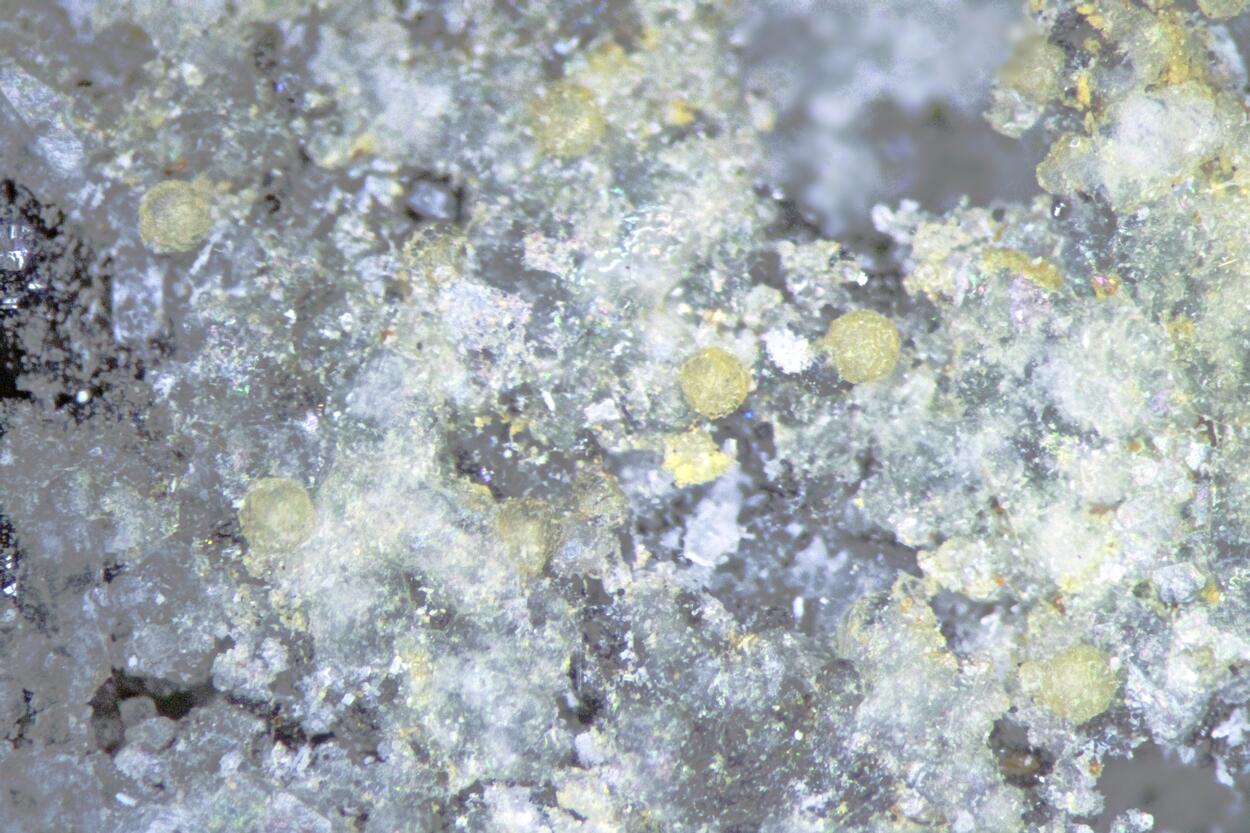 Mckelveyite-(Y) & Analcime