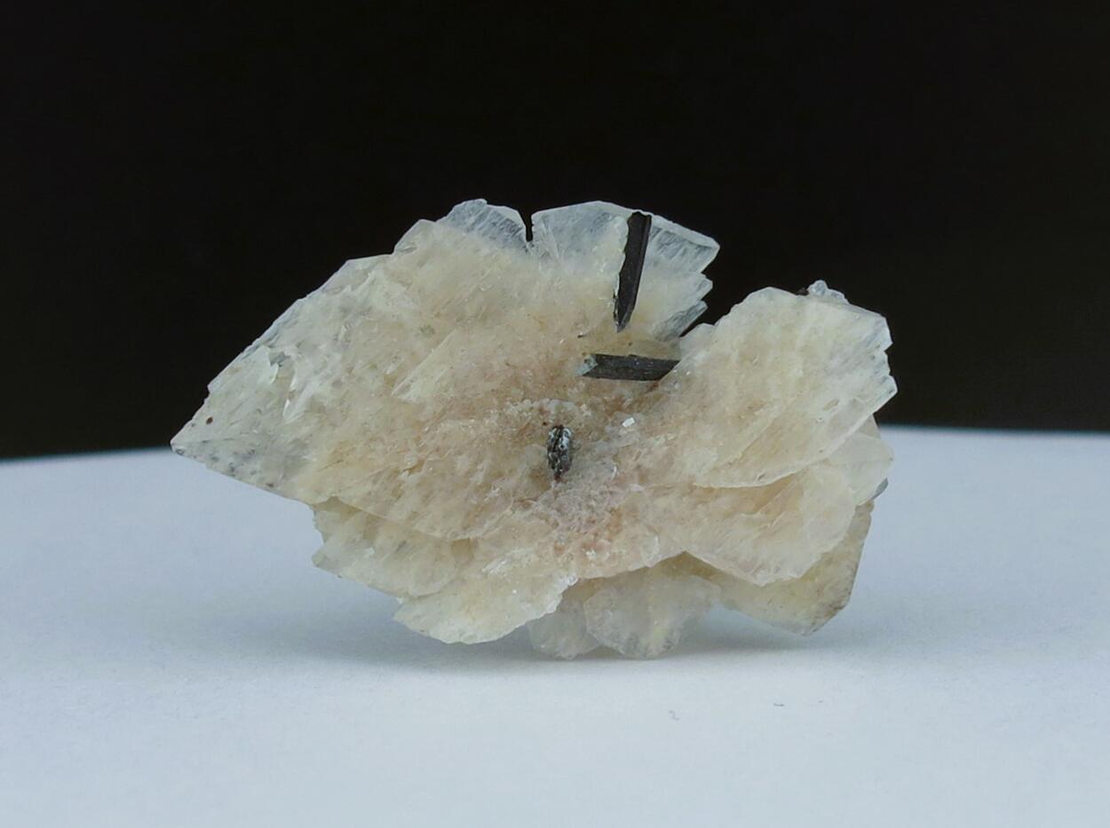 Rhabdophane & Albite