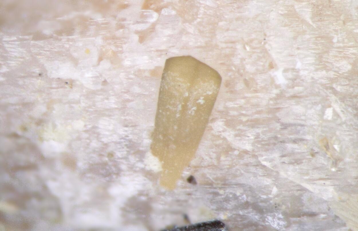 Rhabdophane & Albite