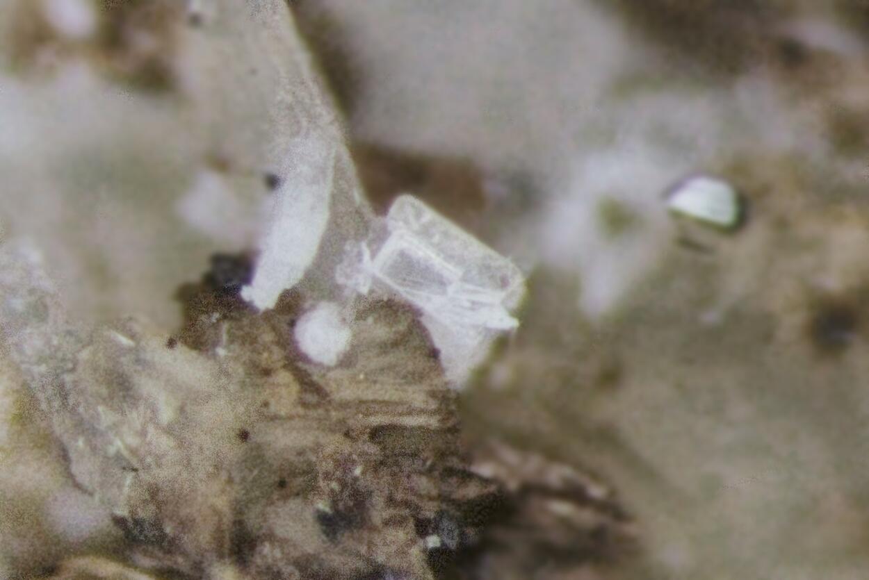 Peatite-(Y) & Ramikite-(Y)