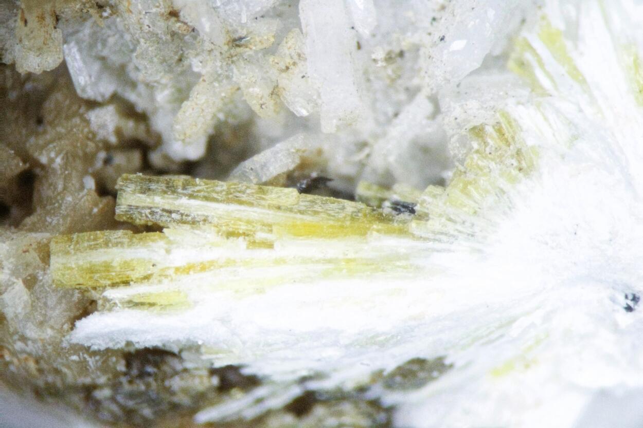 Thomasclarkite-(Y) & Adamsite-(Y)