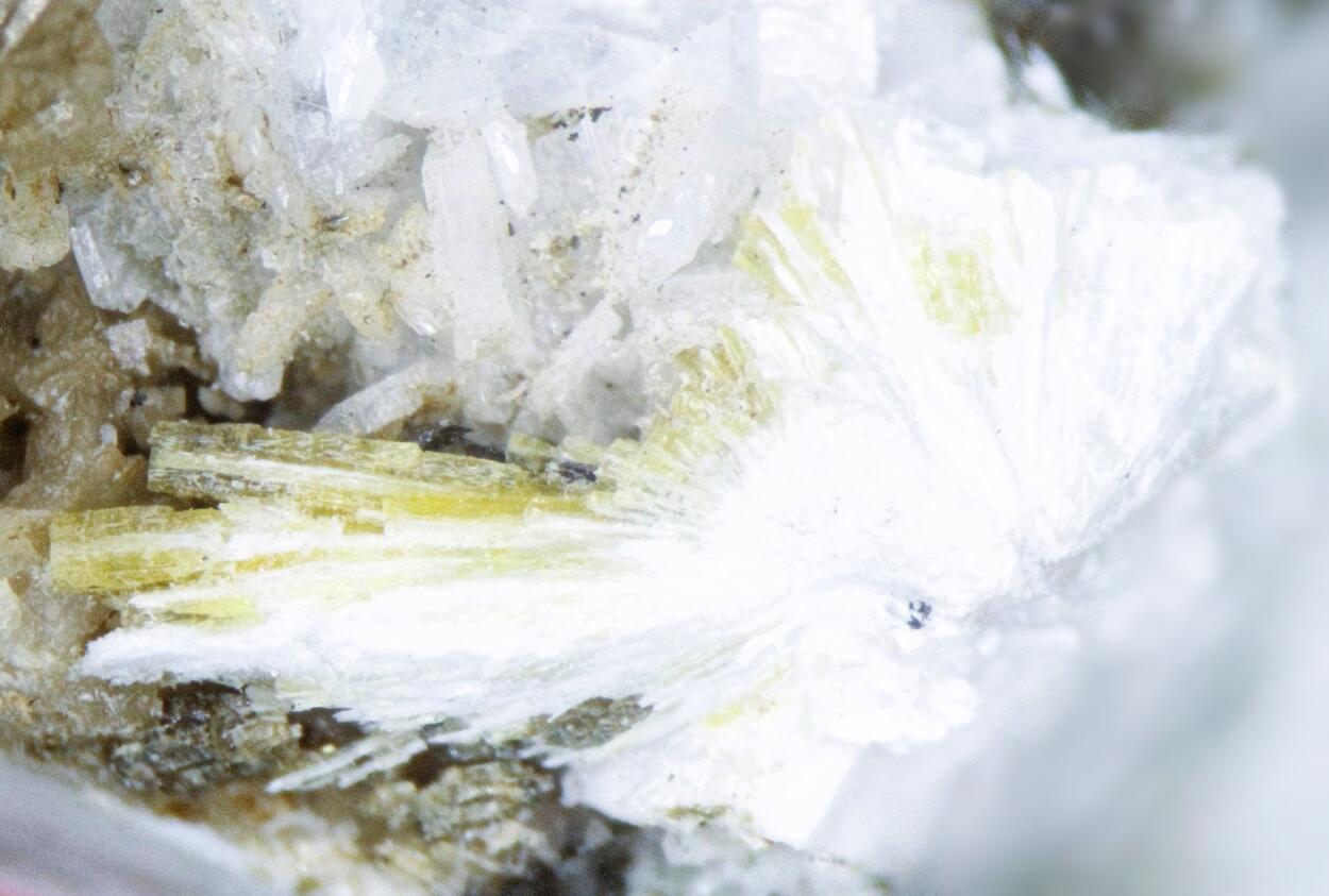 Thomasclarkite-(Y) & Adamsite-(Y)