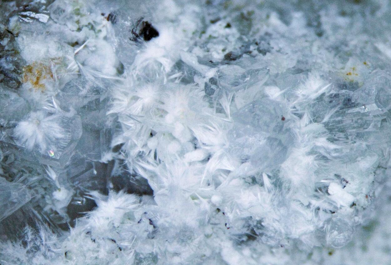 Pectolite & Neptunite