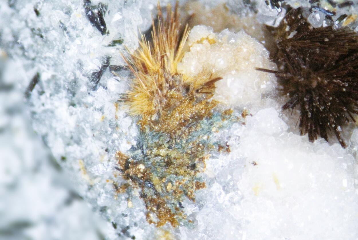 Arisite-(Ce) Amphibole & Tuperssuatsiaite