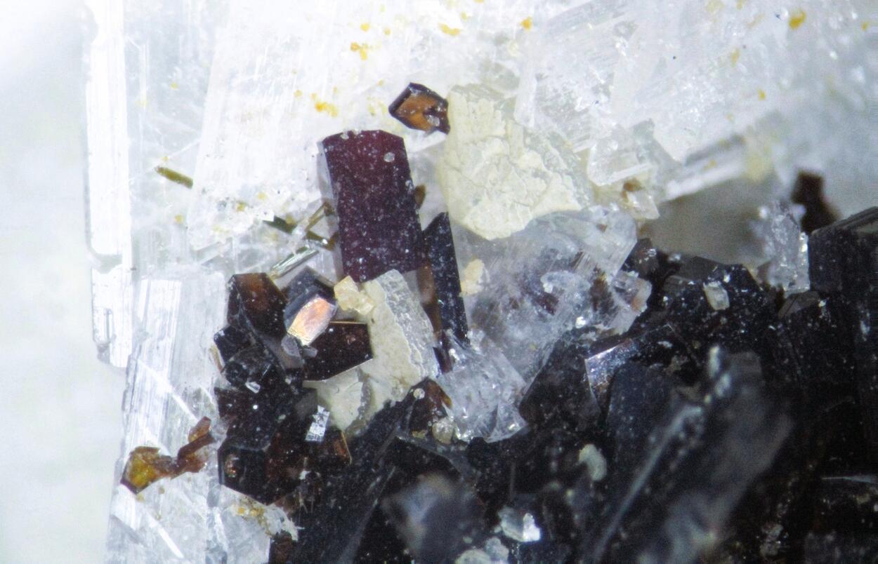 Calcioburbankite Albite & Kupletskite