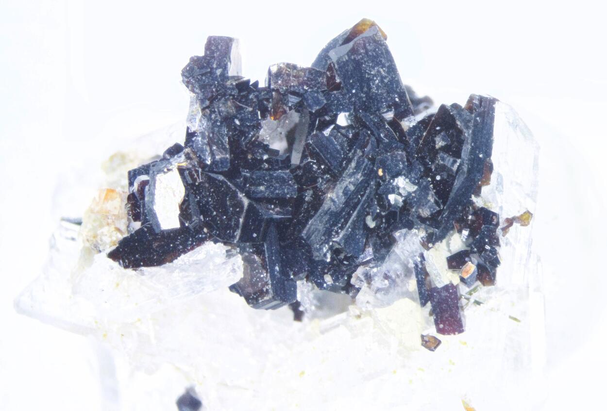 Calcioburbankite Albite & Kupletskite