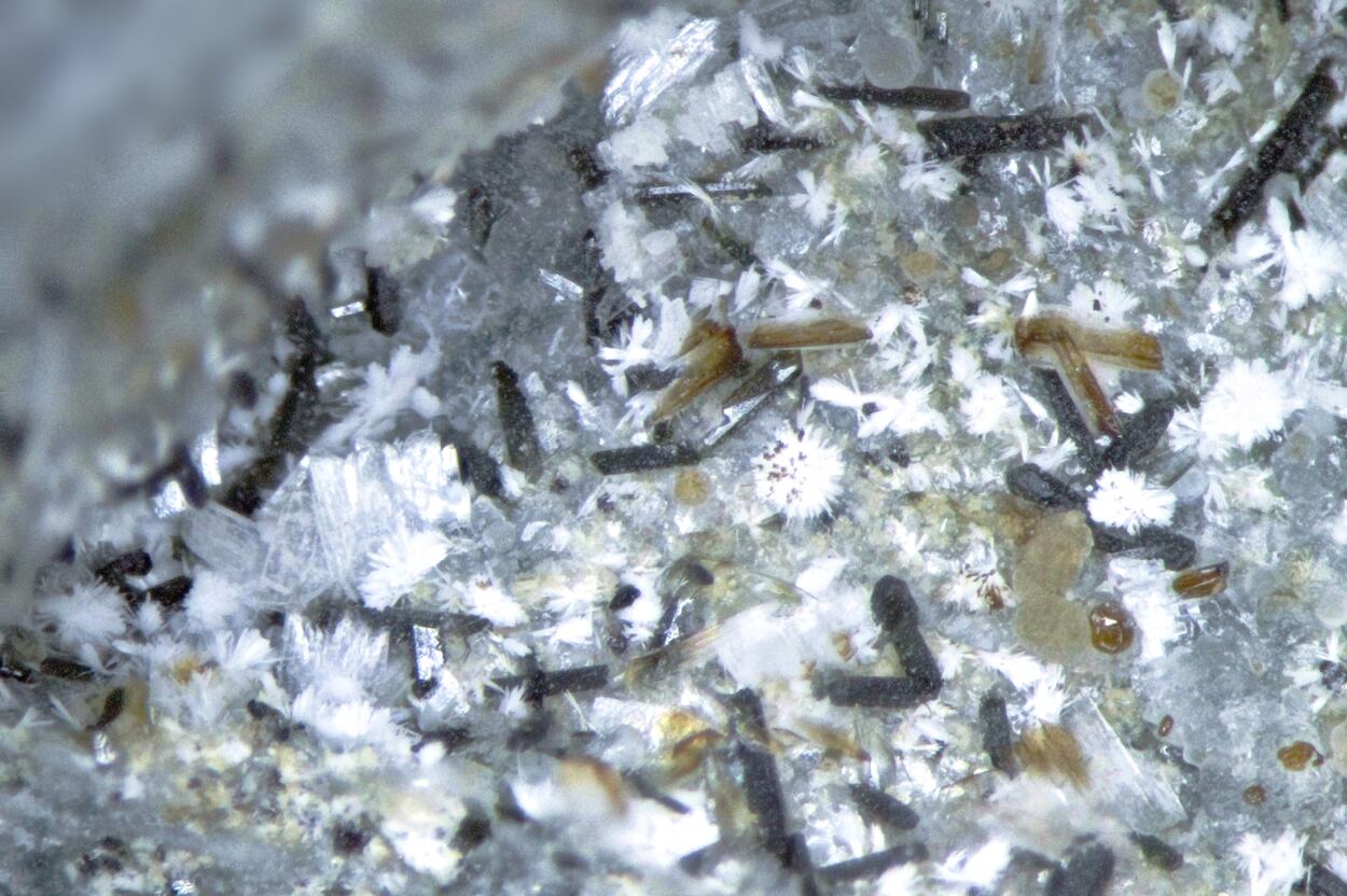 Unnamed (Sazhinite-related mineral I) & Pectolite