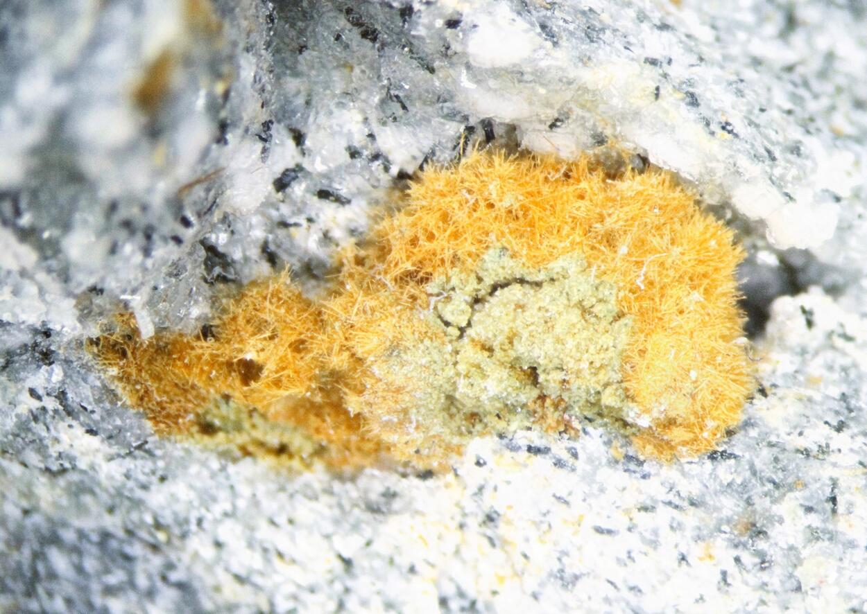 Unnamed (Fe-analogue of Zakharovite) & Tuperssuatsiaite