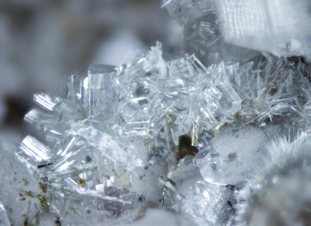 Leucosphenite & Lorenzenite