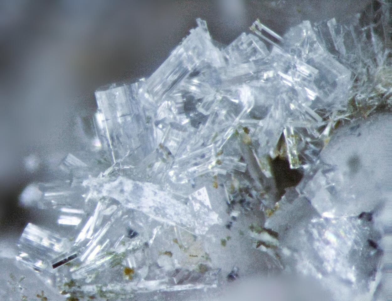 Leucosphenite & Lorenzenite