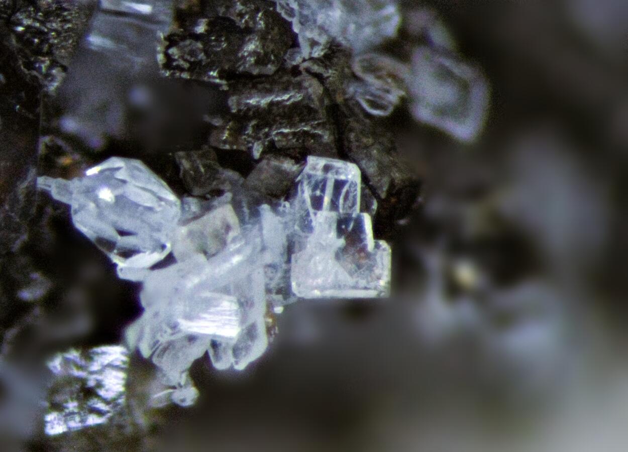 Peatite-(Y) Ramikite-(Y) & Sabinaite