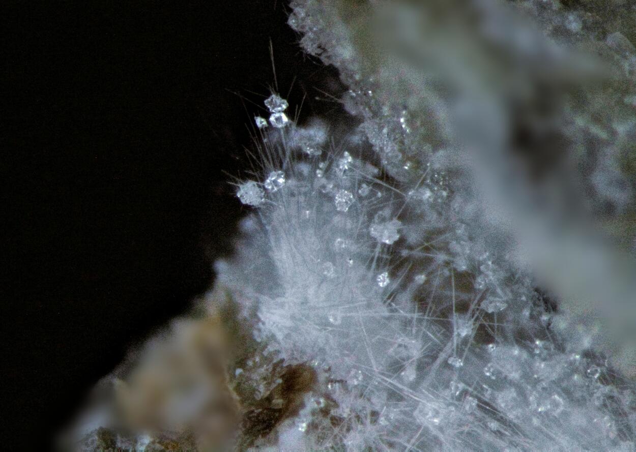 Clinoptilolite-Na & Mordenite