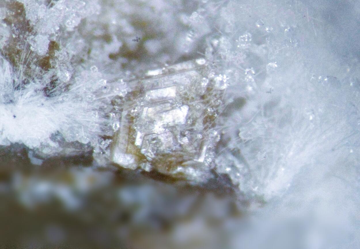 Clinoptilolite-Na & Mordenite