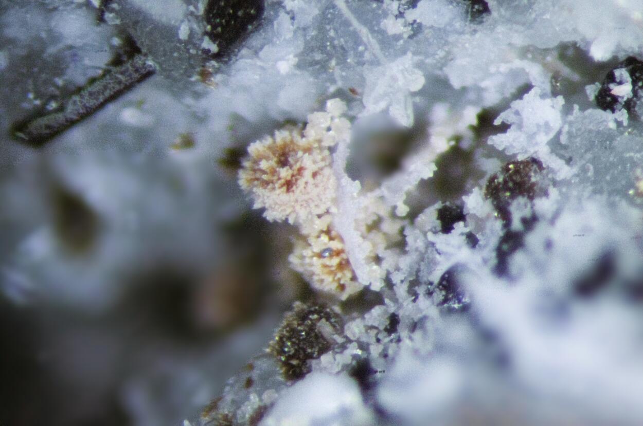 Monazite Fluorite & Manganoneptunite