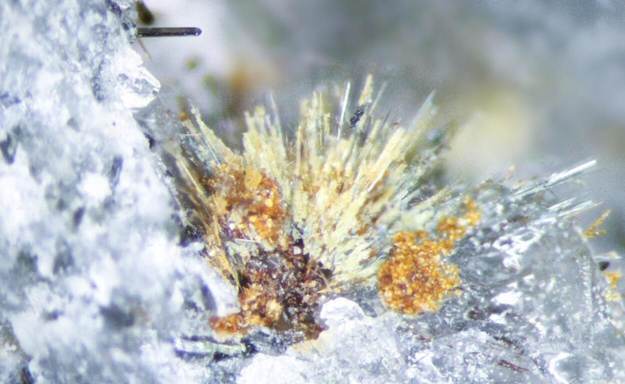 Arisite Ferroceladonite Tuperssuatsiaite & Zakharovite