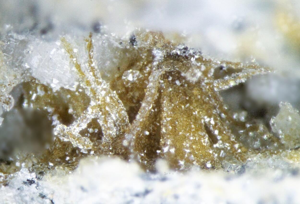 Fluorite & Tuperssuatsiaite