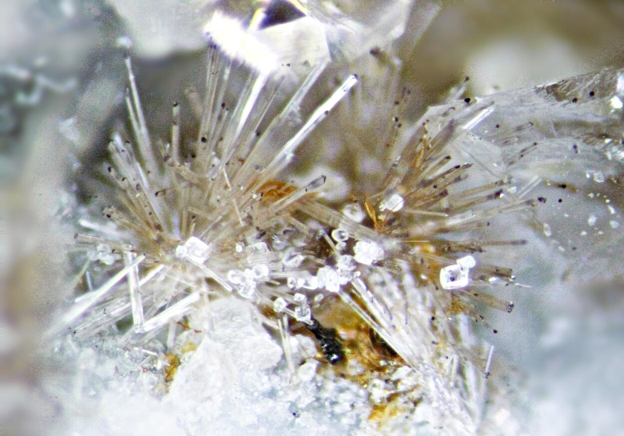 Lorenzenite & Fluorite