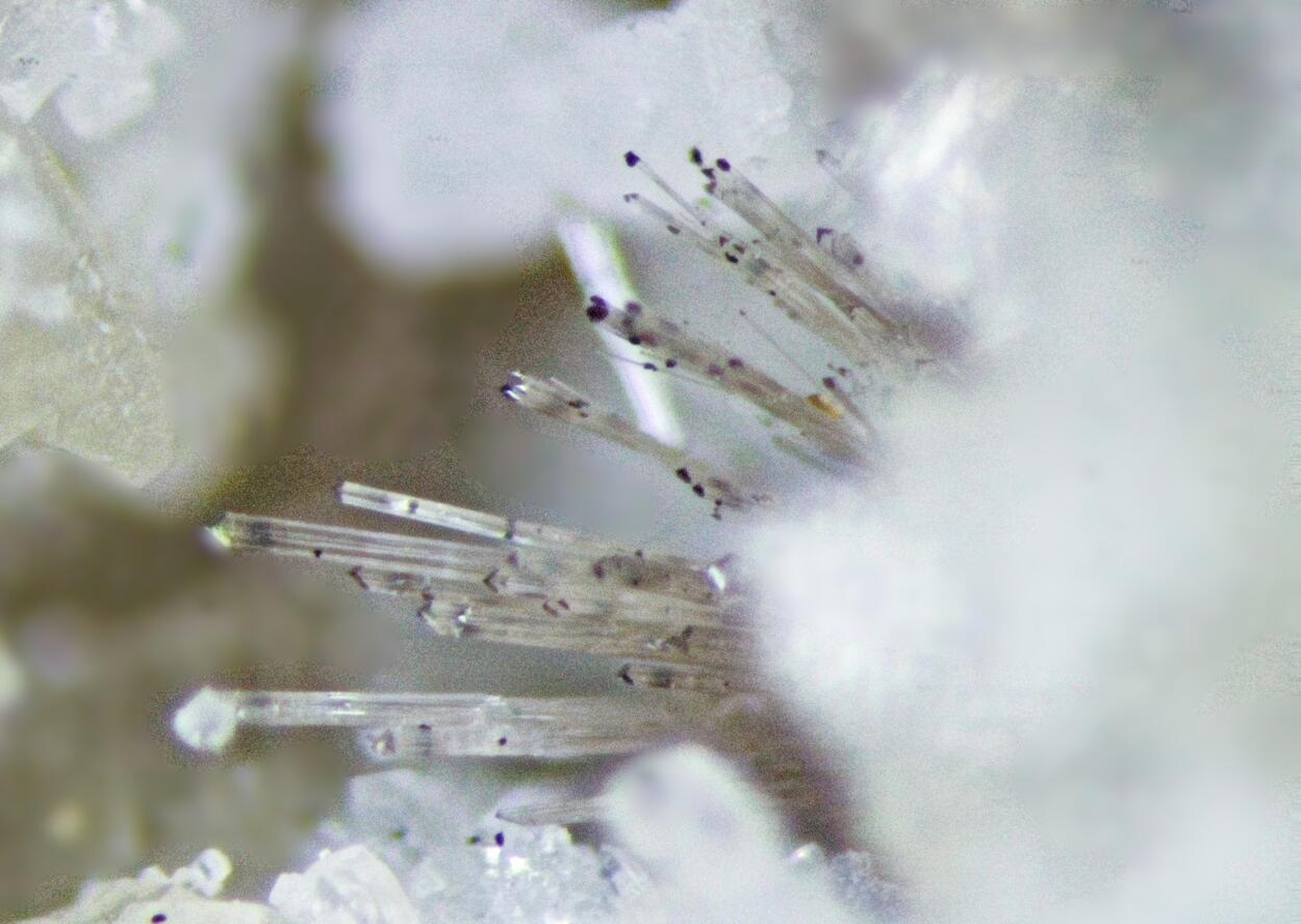 Lorenzenite & Fluorite