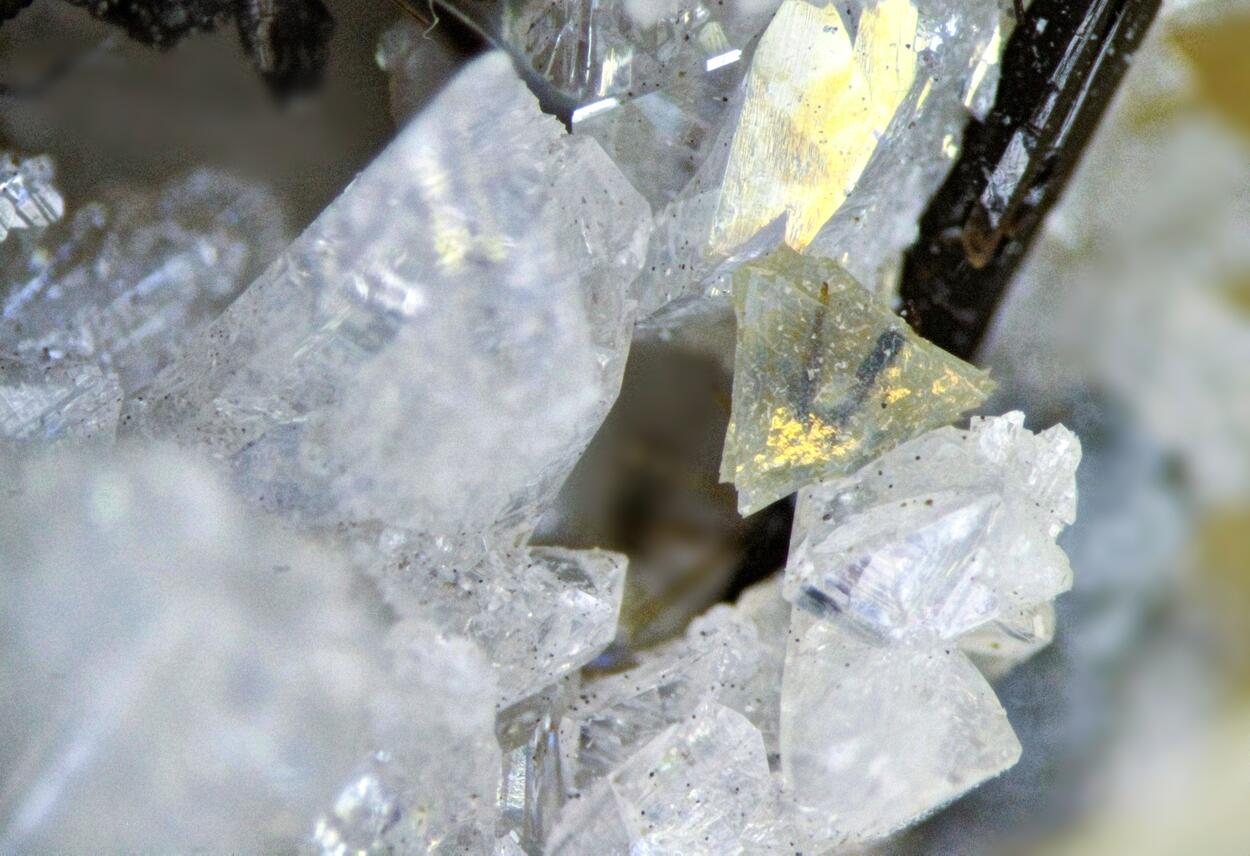 Eudidymite Genthelvite Ancylite-(Ce) Sérandite & Catapleiite