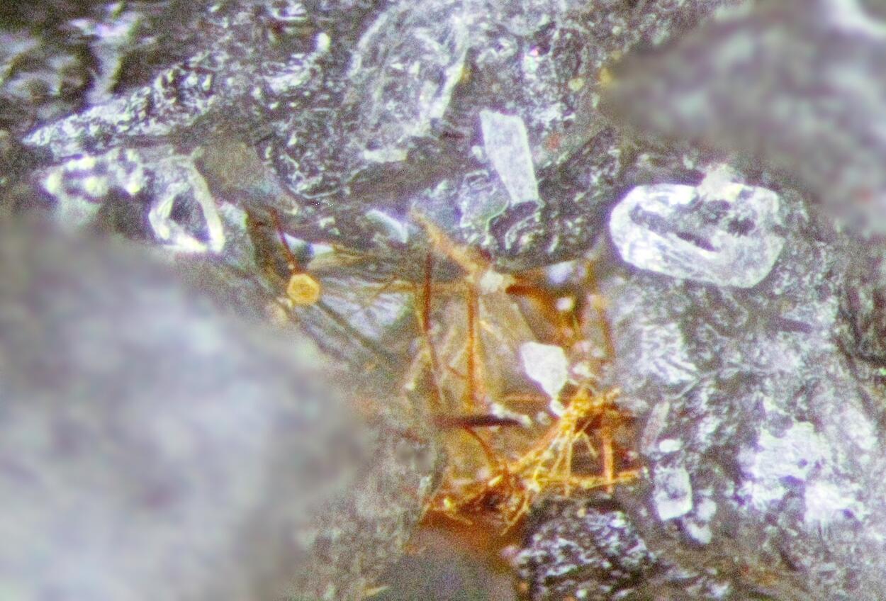 Unnamed (MSH UK-86) & Wurtzite