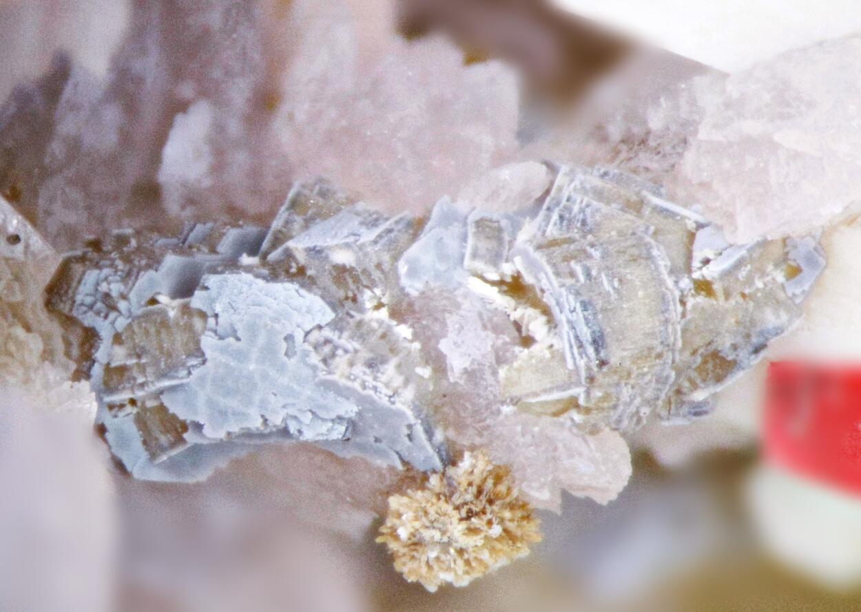 Nenadkevichite Sérandite & Albite