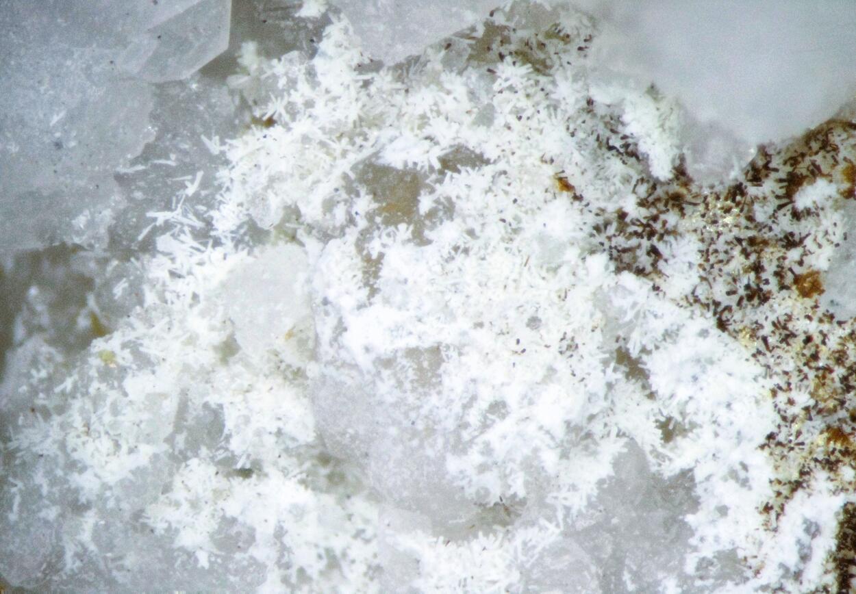 Thorbastnäsite & Analcime