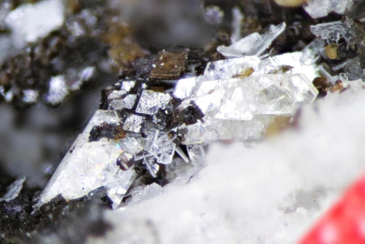 Sabinaite & Petersenite-(Ce) Psm