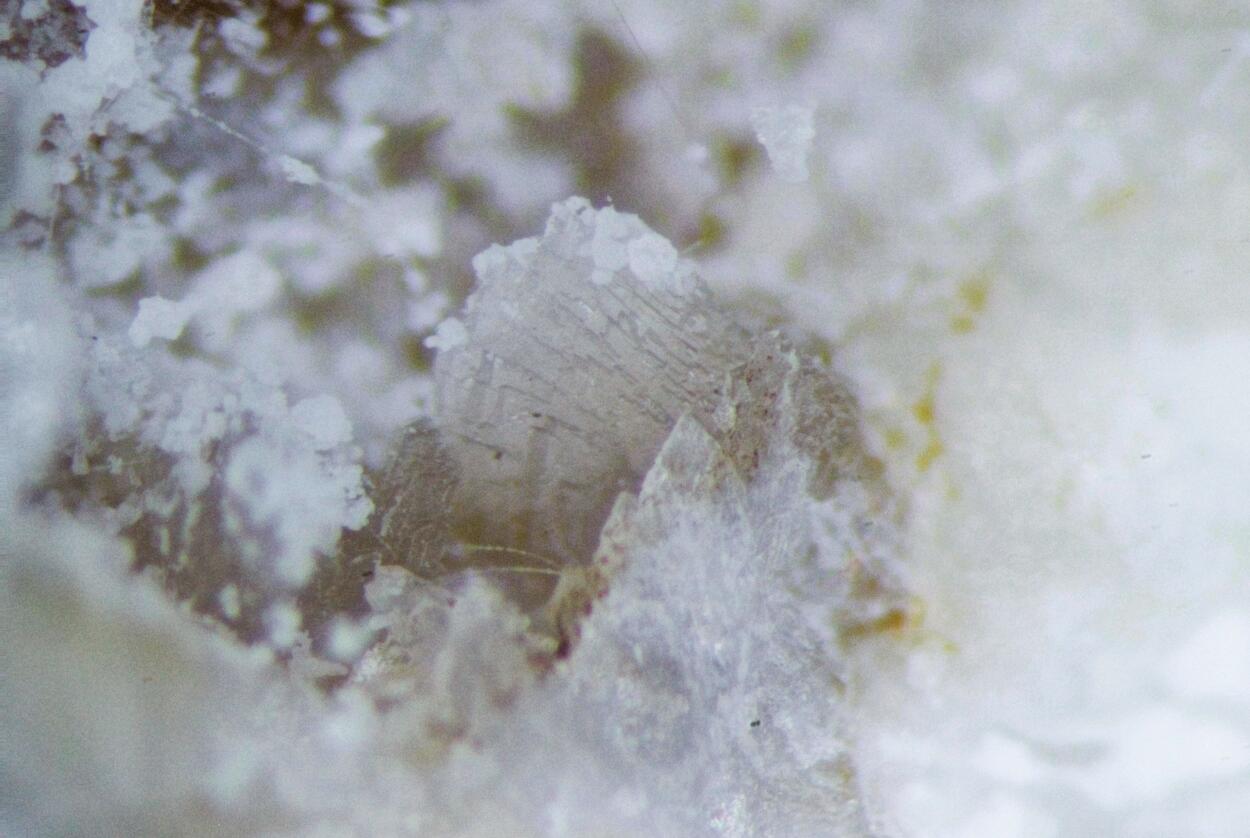 Clinoptilolite-Na & Mordenite