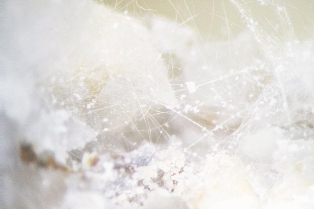 Clinoptilolite-Na & Mordenite