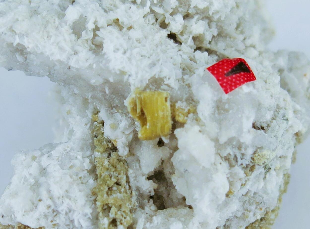 Alicewilsonite-(YCe)