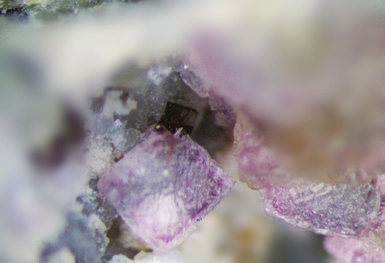 Fluorite & Neptunite