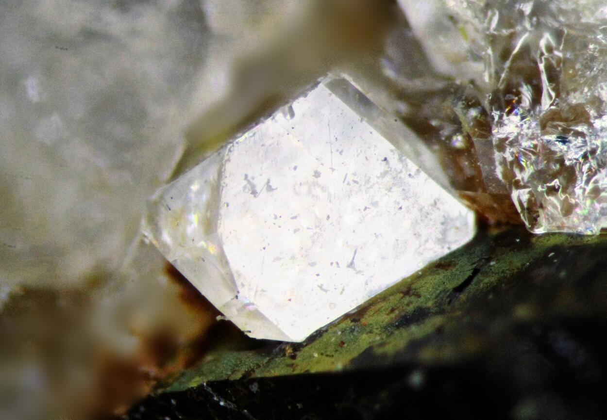 Whitlockite