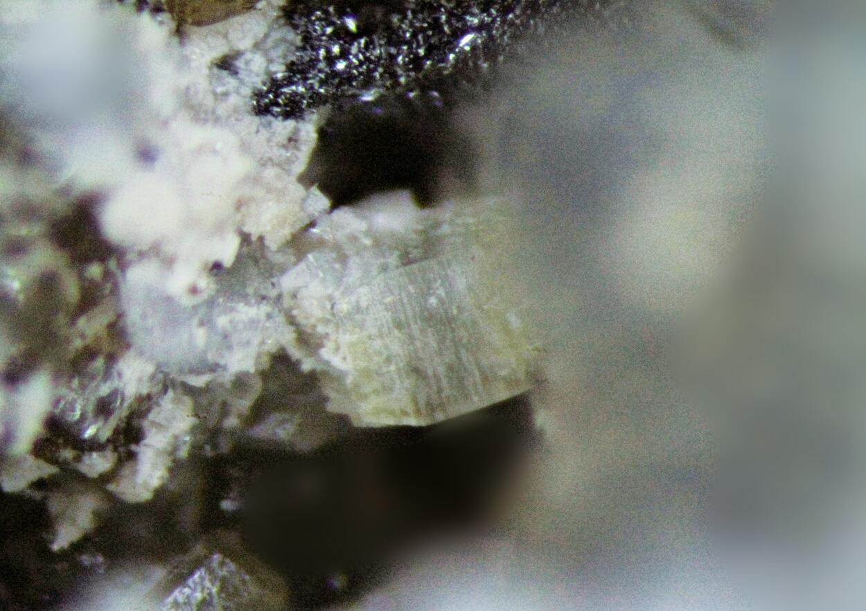 Thomasclarkite-(Y) & Siderite