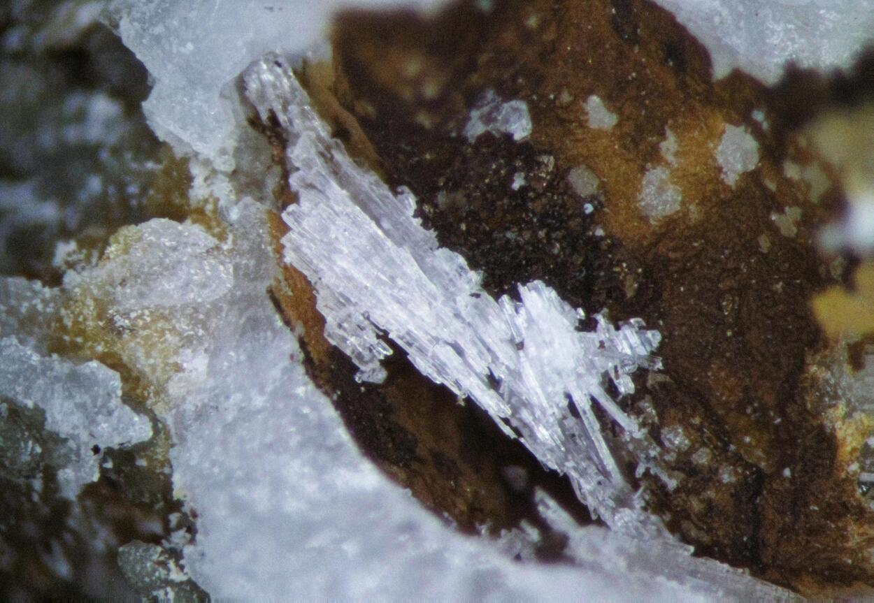 Shomiokite-(Y)