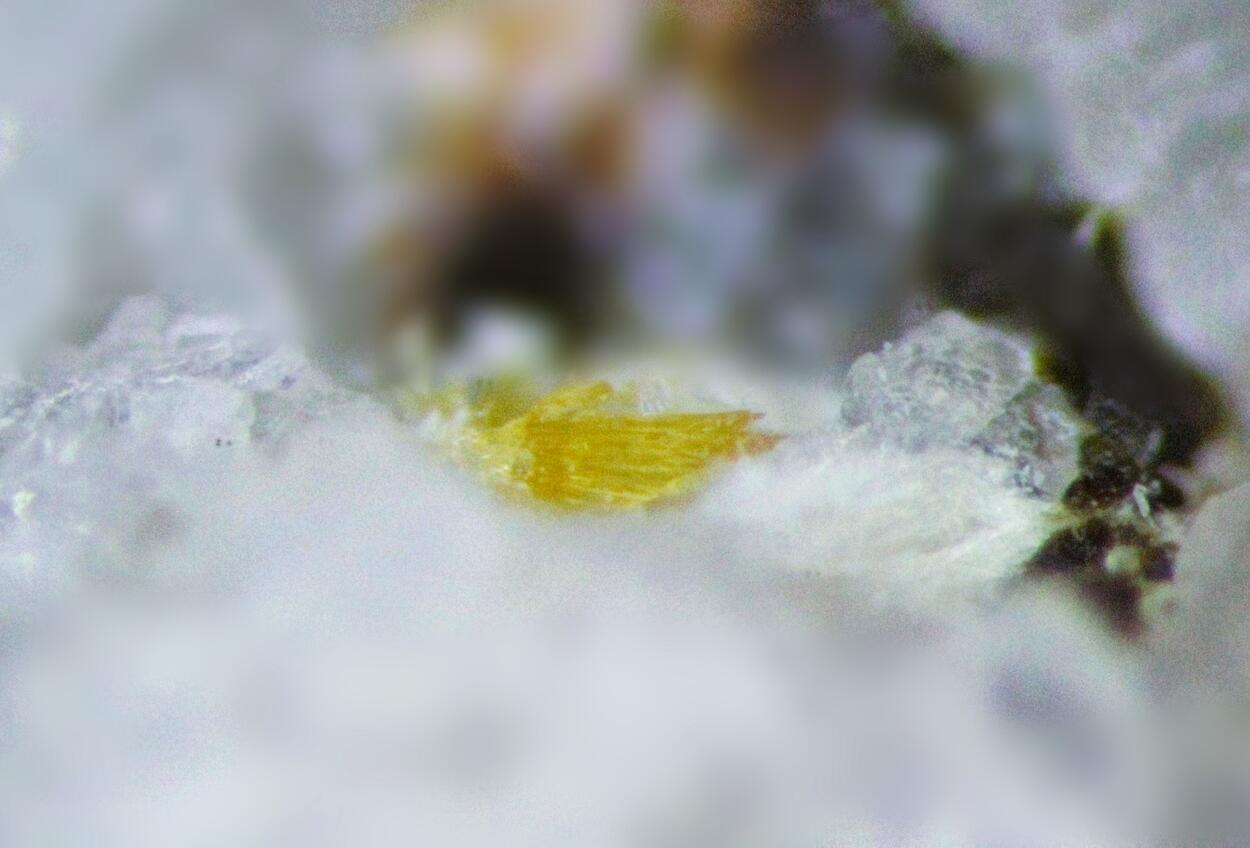 Matulaite & Stewartite