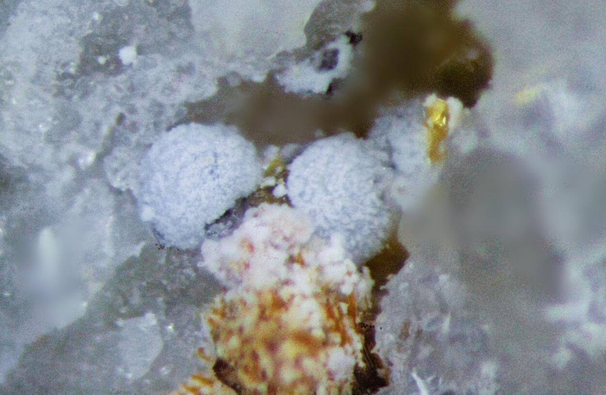 Matulaite & Stewartite