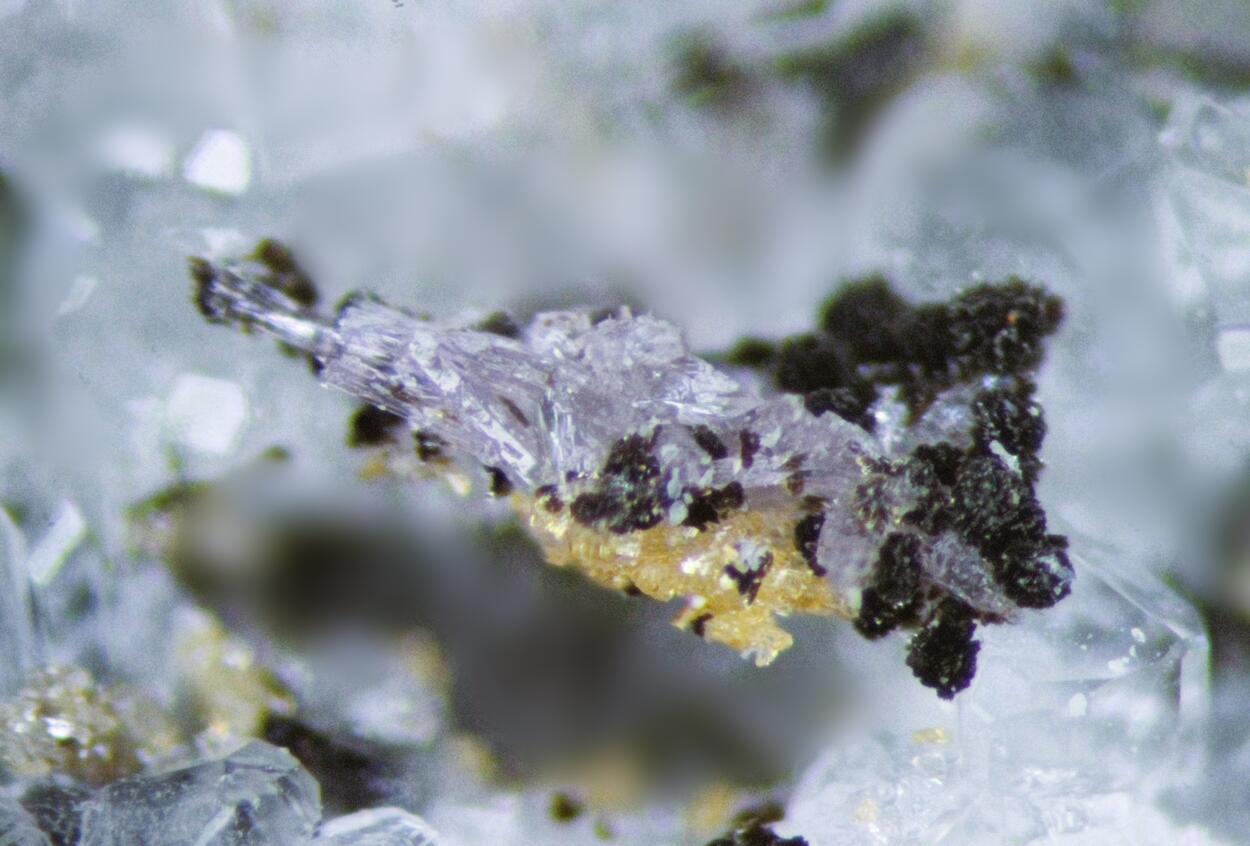 Fluorapatite & Labuntsovite