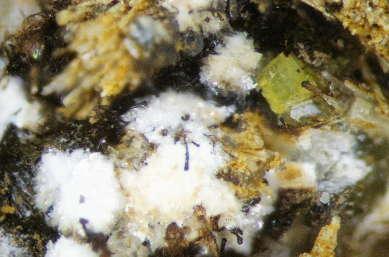 Thomasclarkite-(Y) & Adamsite-(Y)