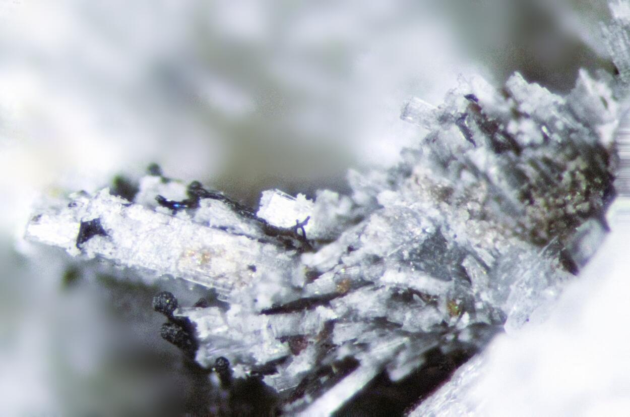 Monteregianite-(Y) & Haineaultite