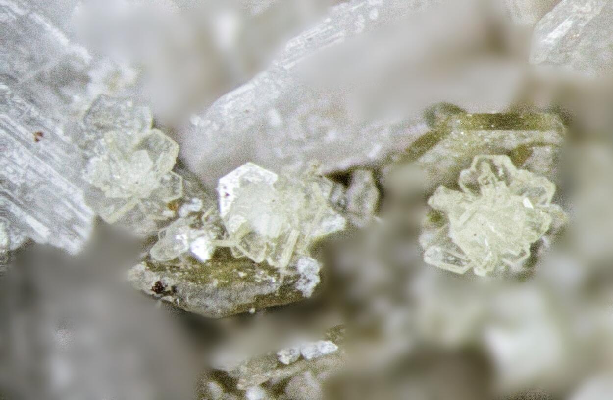 Alicewilsonite-(YCe) Behoite Synchysite-(Ce) Albite Nenadkevichite & Rutile