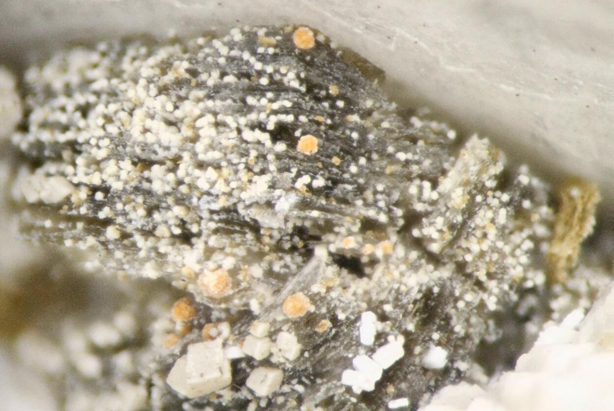 Monazite & Rhodochrosite