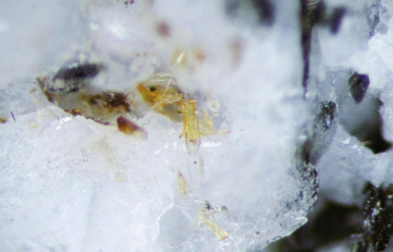 Caresite & Normandite